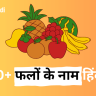 100-fruits-name-hindi